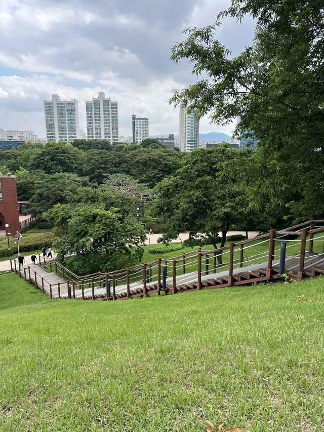 공원의 이모저모