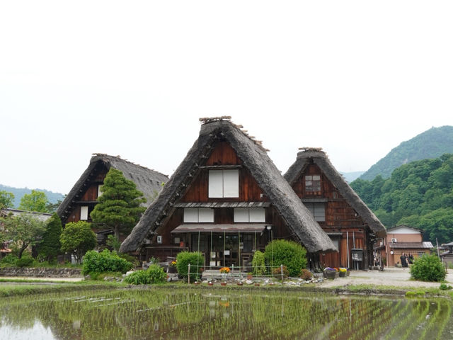 【夏日合掌村散策】在綠意與山風中，一人一支霜淇淋的悠閒午後🍦🌿