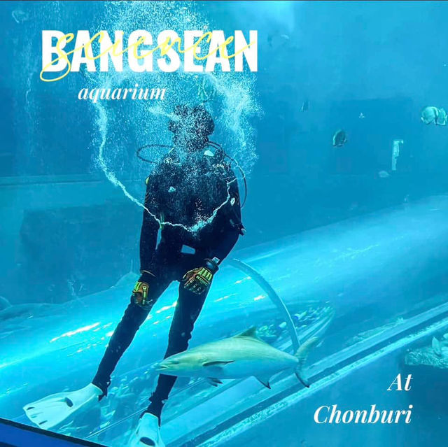 สถาบันวิทยาศาสตร์ทางทะเล มหาวิทยาลัยบูรพา 🐟🐠🐡🎏