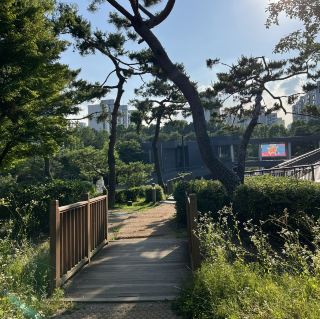 강동 아트센터와 둘레길 걷기여행