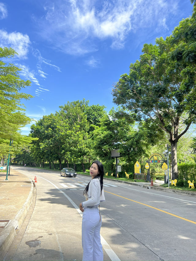 สวนเบญจกิติ - สวนสาธารณะระดับเมืองของกรุงเทพ