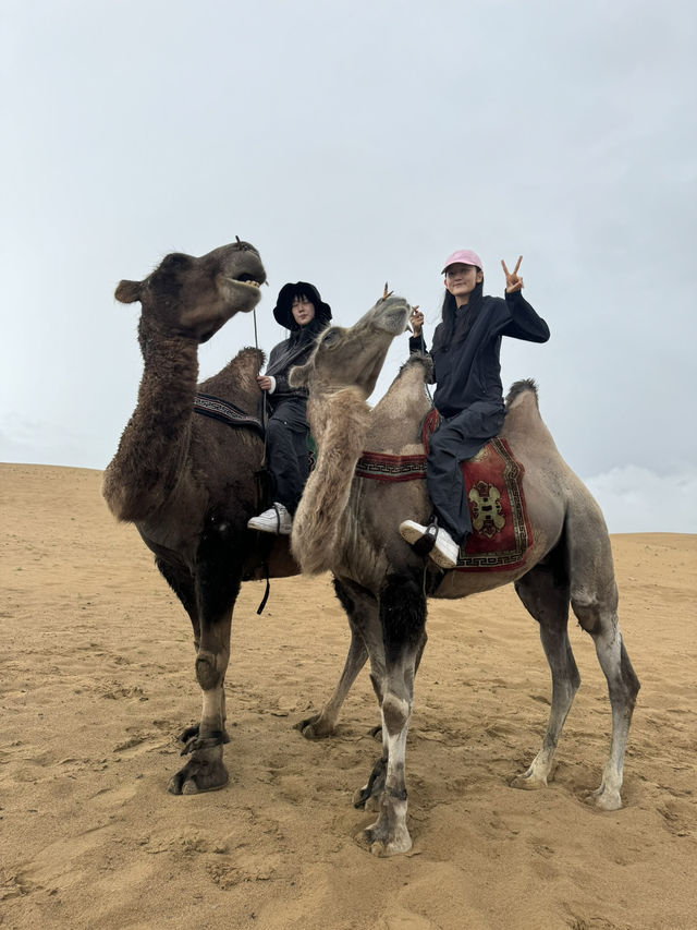 몽골 트래킹 일정 공유 🇲🇳🏔️