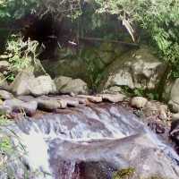 頂湖社區-草山瀑布-猴崁水圳步道-竹子湖歡樂行