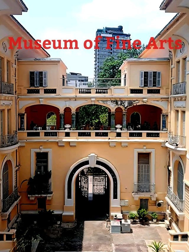 Ho Chi Minh City Museum of Fine Arts✨️