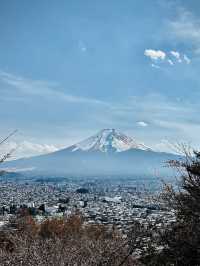 Day Trip Fuji Japan