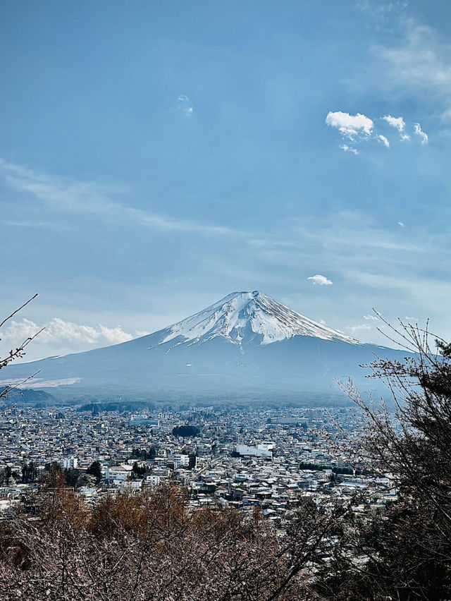 Day Trip Fuji Japan