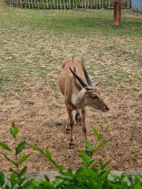 ~潮汕野生動物世界~
