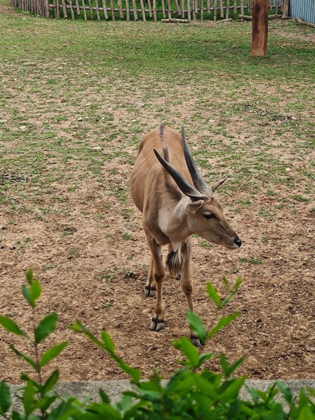 ~潮汕野生動物世界~