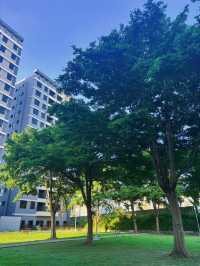 🌳竹北兒18公園｜綠意中的親子天堂，滑梯草地一次擁有！