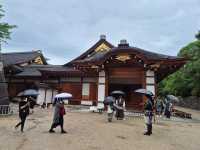 🏯나고야성에 왔다면 꼭 보고 와야하는 혼마루🏯