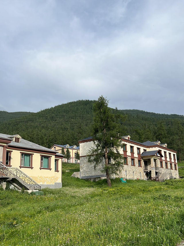 🟤 喀納斯鴻福生態度假酒店：美景與基本住宿並存的一晚 🏞️🏨