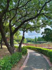 桃園市區也能遇見自然仙境 桃園 1-4 號生態埤塘｜步道、樹蔭、湖景一次滿足的城市秘境