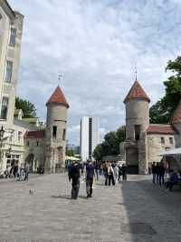 🛳️✨ 헬싱키에서 떠나는 동화 속 하루 여행 Tallinn 당일치기 투어 가이드 🇪🇪💙