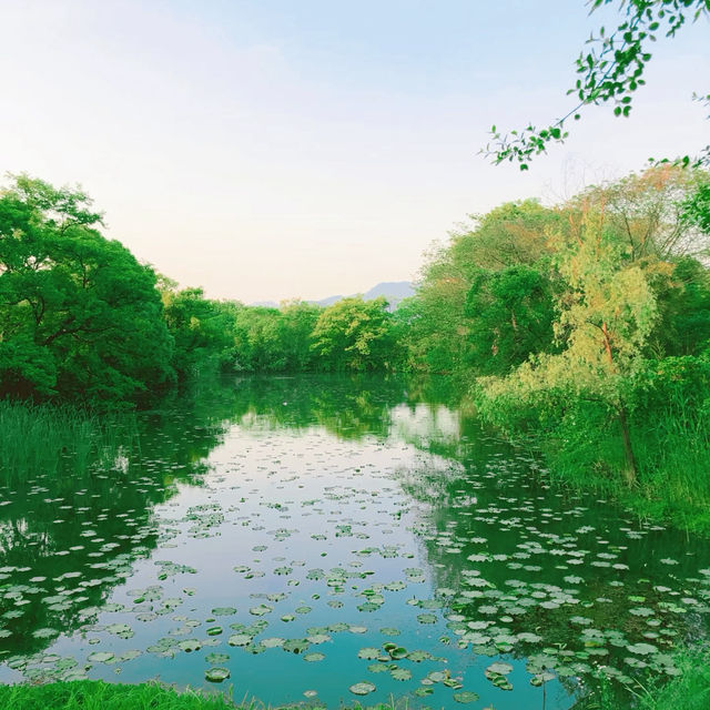 潼湖濕地公園•鳥語花香的自然
