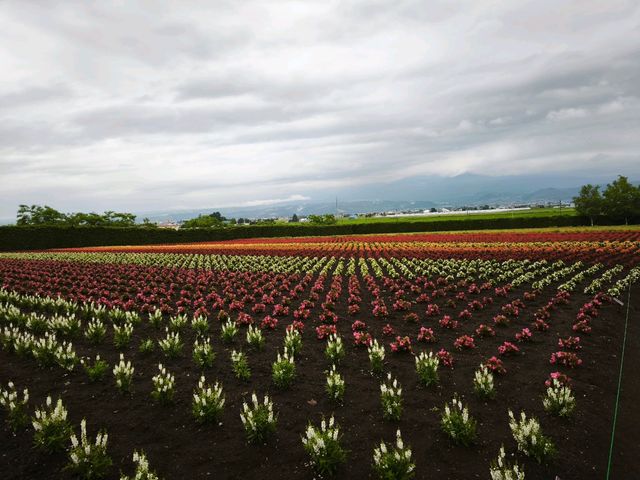 Hokkaido Road Trip