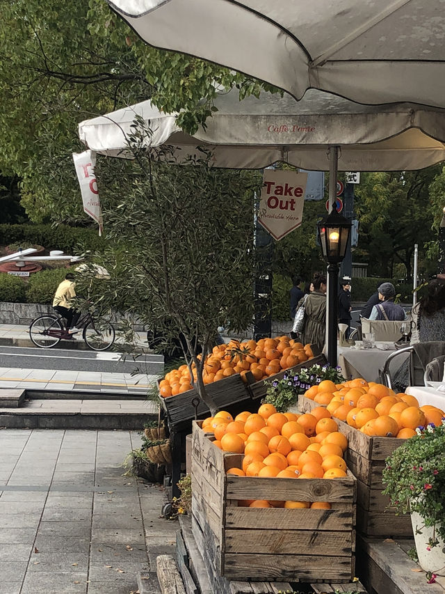 히로시마 강변 정취 가득한 Caffè Ponte