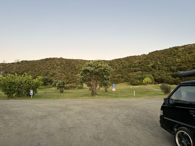 紐西蘭超讚景點—🏕 Pine Beach Campground｜背倚松林、面對湖灘的Northland原味露營地 