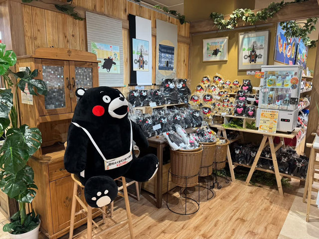 九州中部 熊本城 熊本煙火
