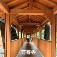【大分】和の美✨大分駅から歩いて行ける美しいお寺2選✨