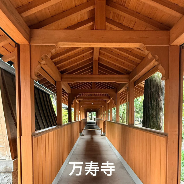 【大分】和の美✨大分駅から歩いて行ける美しいお寺2選✨