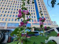 Dushanzi Xigema International Hotel: A Comfortable Gateway by the Duku Highway 