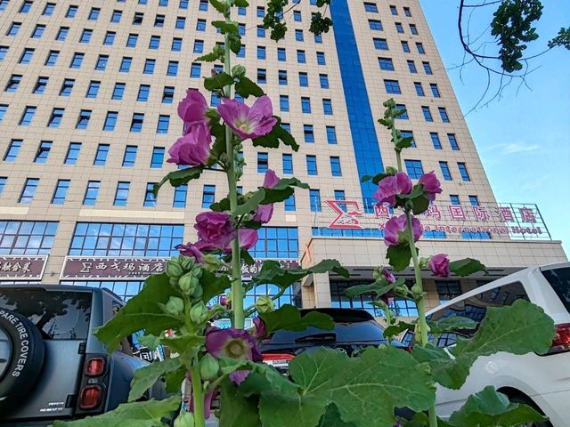 Dushanzi Xigema International Hotel: A Comfortable Gateway by the Duku Highway 
