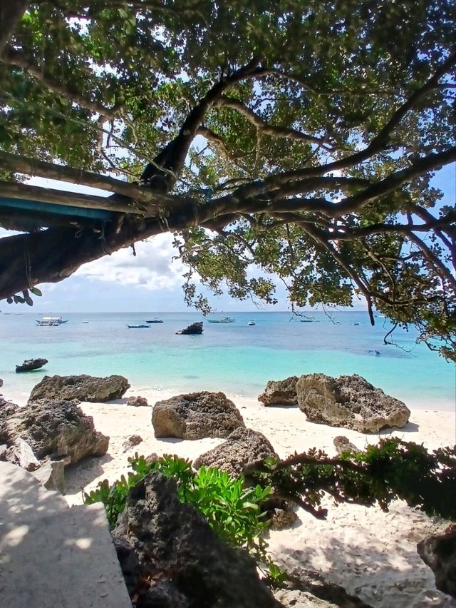 "Sandy Toes and Sunset Goals: Boracay Diary" 📖