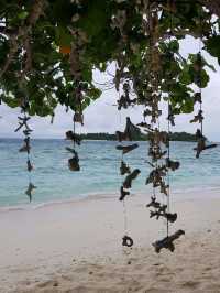 "Discover Local Life on Rasdhoo Island, Maldives 🏝️🌺🇲🇻"