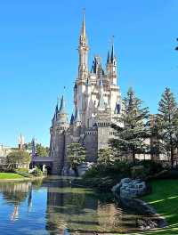 Dreams come true at Cinderella's castle in Tokyo Disneyland
