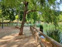 Lake Day Bliss at Albufera de Anna