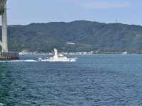 Kobe Maiko: A Half-Day Surprise (and Regret!) by the Sea! 🌊🍣