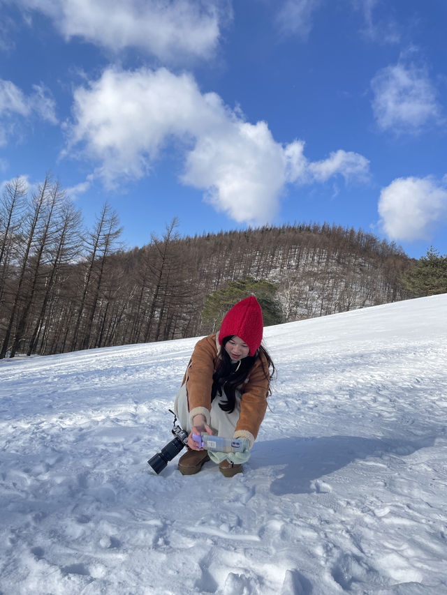 Daegwallyeong คังวอนโดเกาหลี 🇰🇷❄️