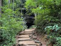 Pisgah National Forest