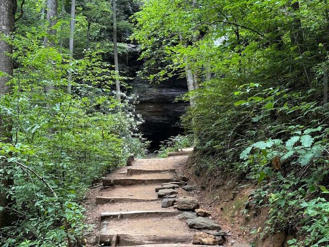 Pisgah National Forest