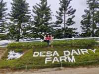 2D1N Kundasang