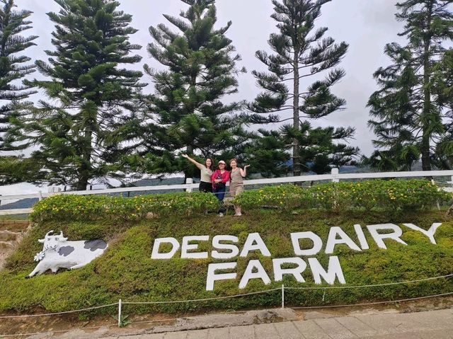2D1N Kundasang