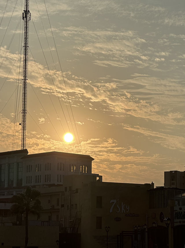 Alexandria: Burned Knowledge By The Sea