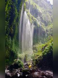 🌊 Discover Madakaripura Waterfall — Java’s Majestic Oasis