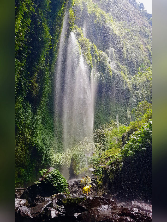 🌊 Discover Madakaripura Waterfall — Java’s Majestic Oasis
