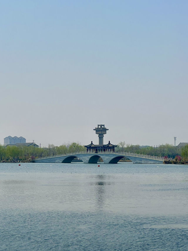 Mirror of the City – A Breezy Stroll Around Baogong Lake