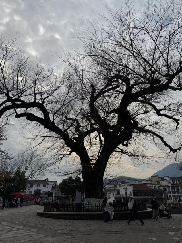 Hongcun: The Living Canvas of Chinese Heritage
