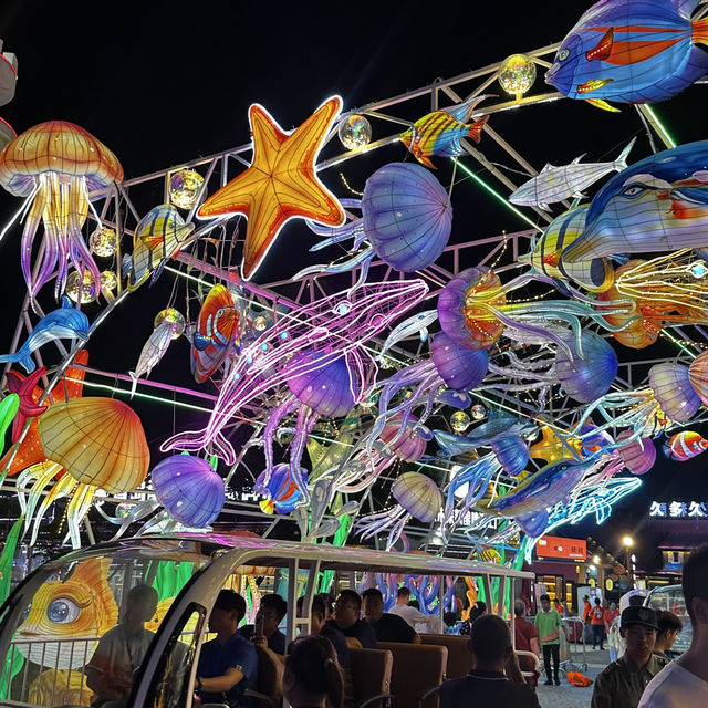 2025 칭다오 맥주축제를 즐겨보세요🇨🇳