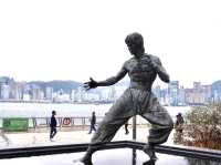 香港K11 MUSEA_最美的百貨商城