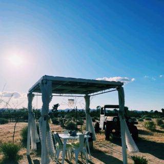 Công viên quốc gia Joshua Tree, một ngày đặc biệt giữa sa mạc bí ẩn
