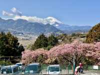 西平畑公園