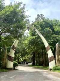 富國島珍珠野生動物園-近距離觀察猛獸，與可愛動物互動餵食