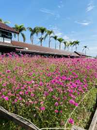 รีวิวคาเฟ่เมืองตรัง