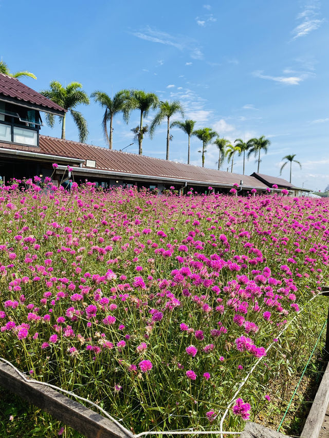 รีวิวคาเฟ่เมืองตรัง