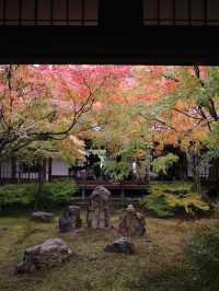 【建仁寺】風神雷神と禅の世界⚡静寂とアートが共存する東山の名刹