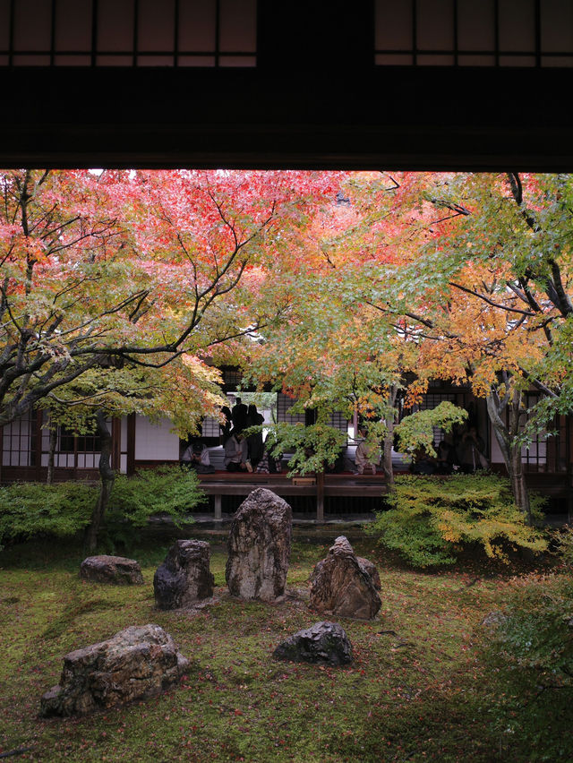 【建仁寺】風神雷神と禅の世界⚡静寂とアートが共存する東山の名刹